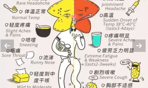 去湿减脂肪的中药专区_去湿减脂中药方子专区_去湿去脂肪中药网